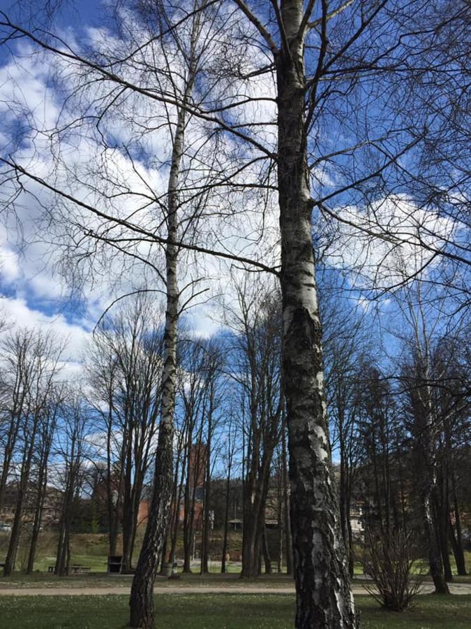 Apartament Sloneczny Ustrzyki Dolne Esterno foto